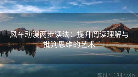 风车动漫两步读法：提升阅读理解与批判思维的艺术