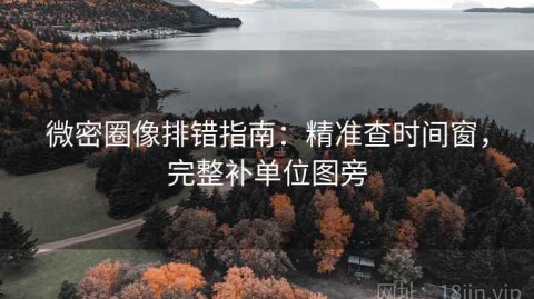 微密圈像排错指南：精准查时间窗，完整补单位图旁