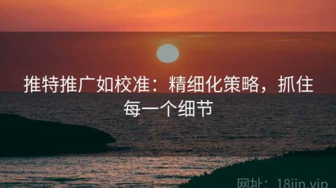 推特推广如校准：精细化策略，抓住每一个细节
