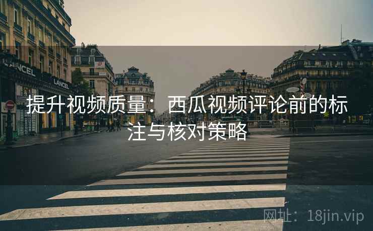 提升视频质量：西瓜视频评论前的标注与核对策略