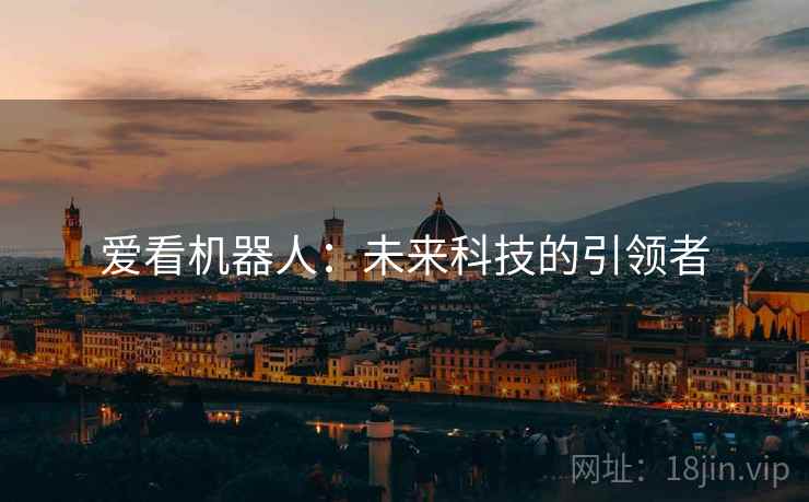 爱看机器人：未来科技的引领者