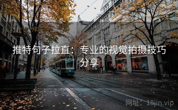 推特句子拉直：专业的视觉拍摄技巧分享