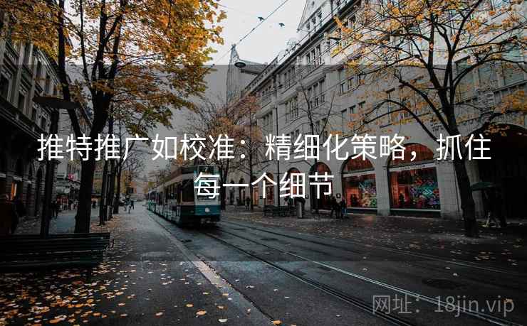 推特推广如校准：精细化策略，抓住每一个细节