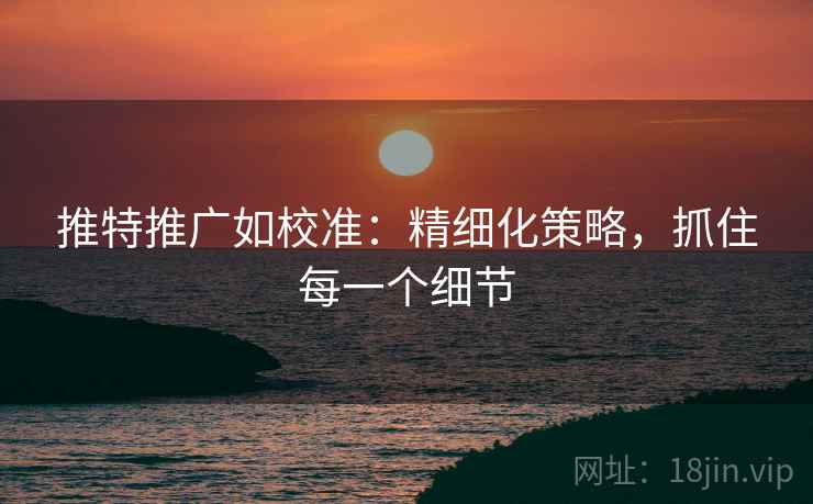 推特推广如校准：精细化策略，抓住每一个细节