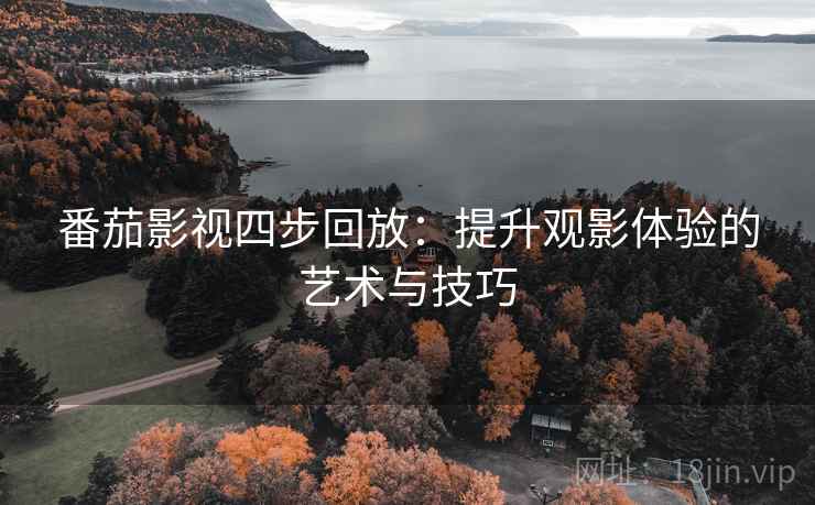 番茄影视四步回放：提升观影体验的艺术与技巧