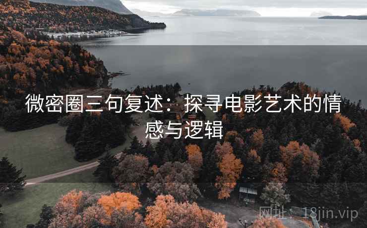 微密圈三句复述：探寻电影艺术的情感与逻辑