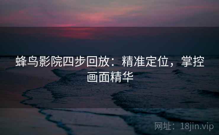 蜂鸟影院四步回放：精准定位，掌控画面精华